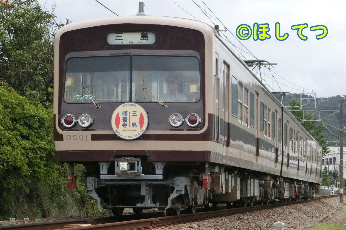 Izu Hakone 3000 Series Retro Livery Departing Ohito Station
