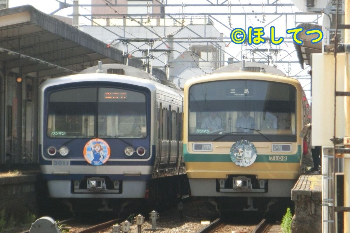 Izu Hakone 3000 Series Happy Party Train and 7000 Series Genjitsu no Yohane wrapping train crossing at Daiba