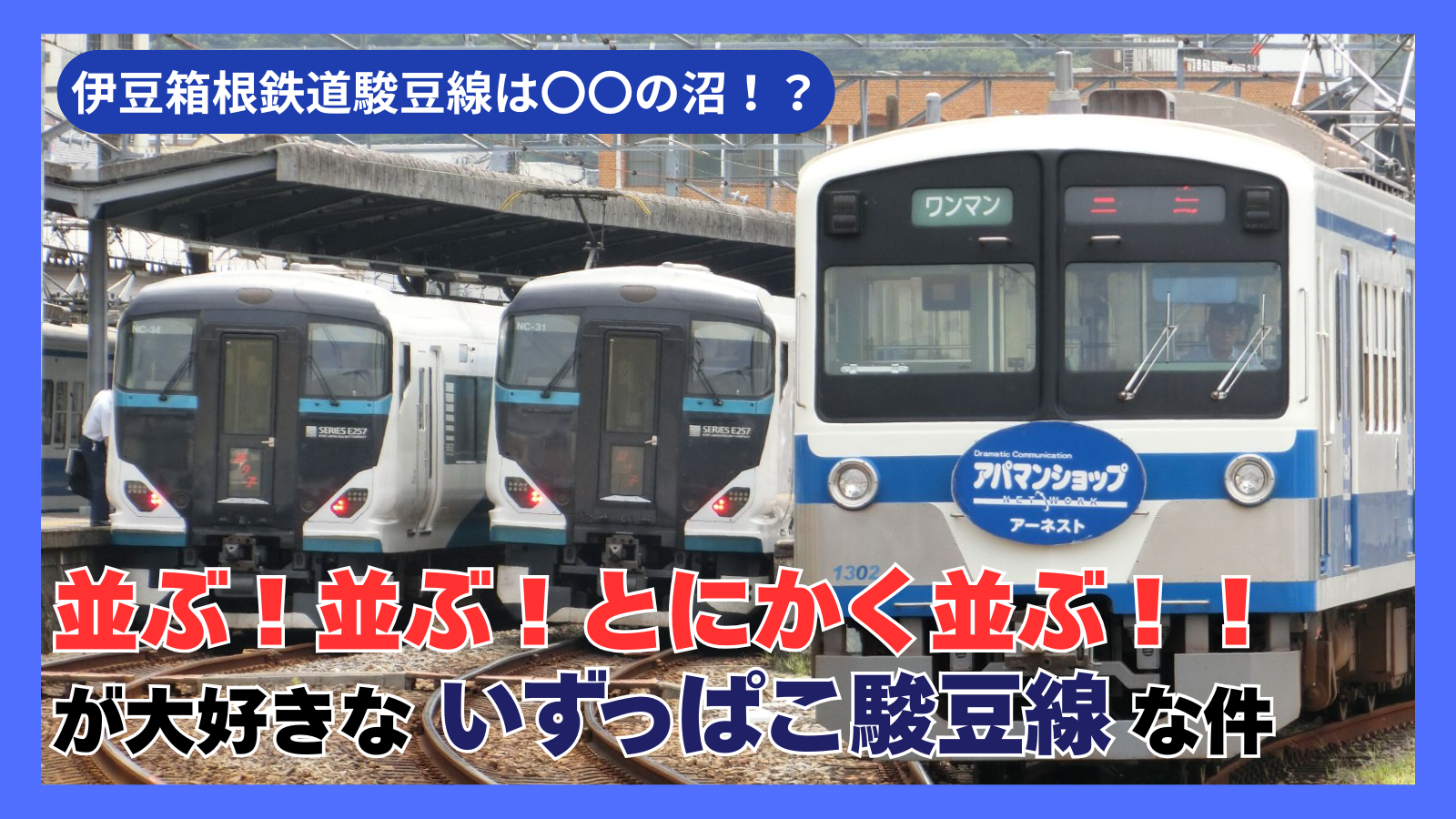 伊豆箱根鉄道駿豆線は〇〇が好き??並ぶ!並ぶ!並びまくる!いずっぱこ駿豆線な件