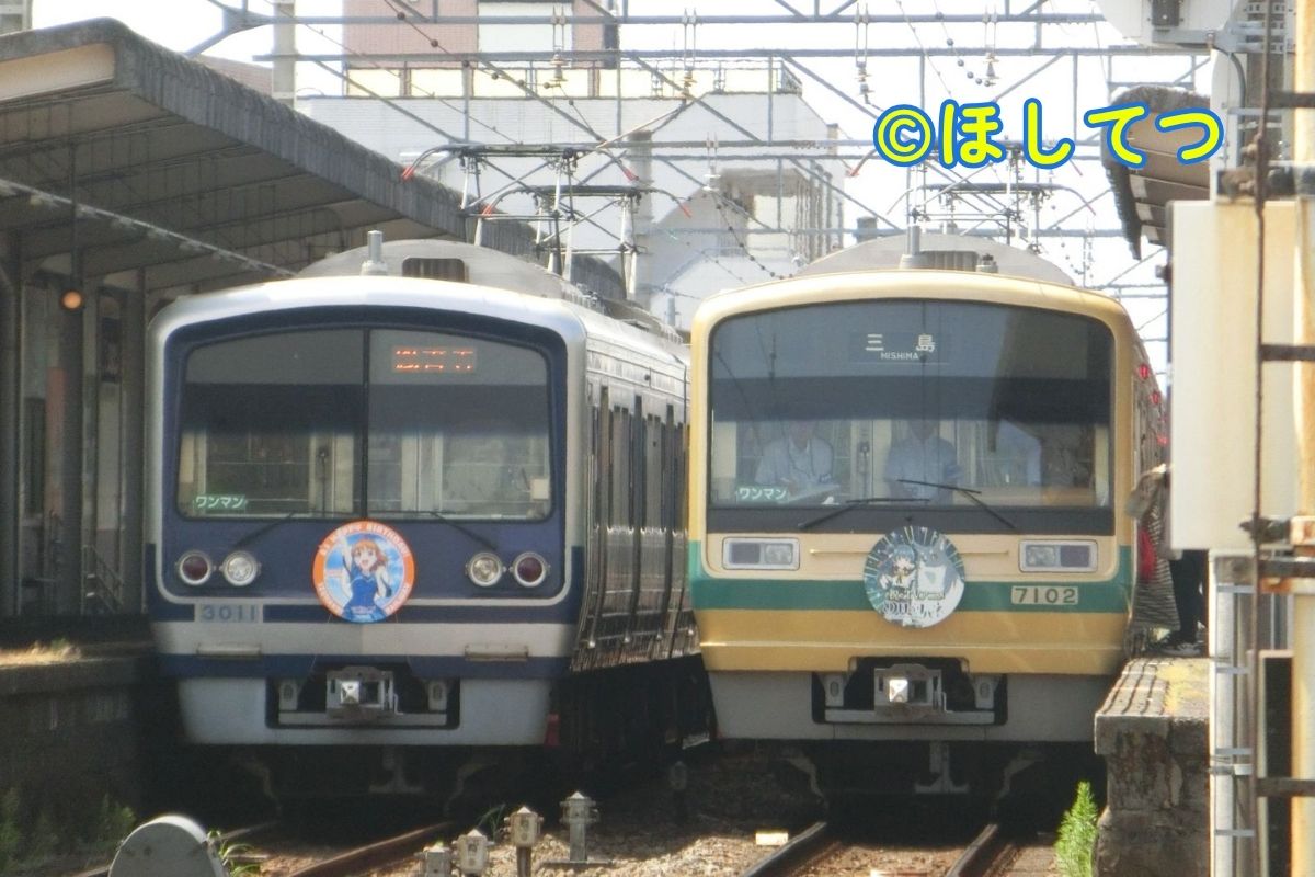 Izu Hakone 3000 Series Happy Party Train and 7000 Series Yohane wrapping train crossing at Daiba