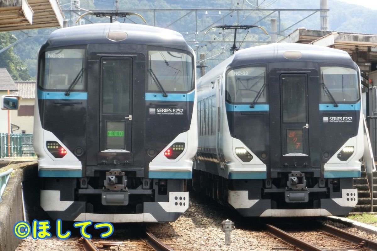 JR East E257 2000 Series Odoriko crossing at Makinosato unmanned station