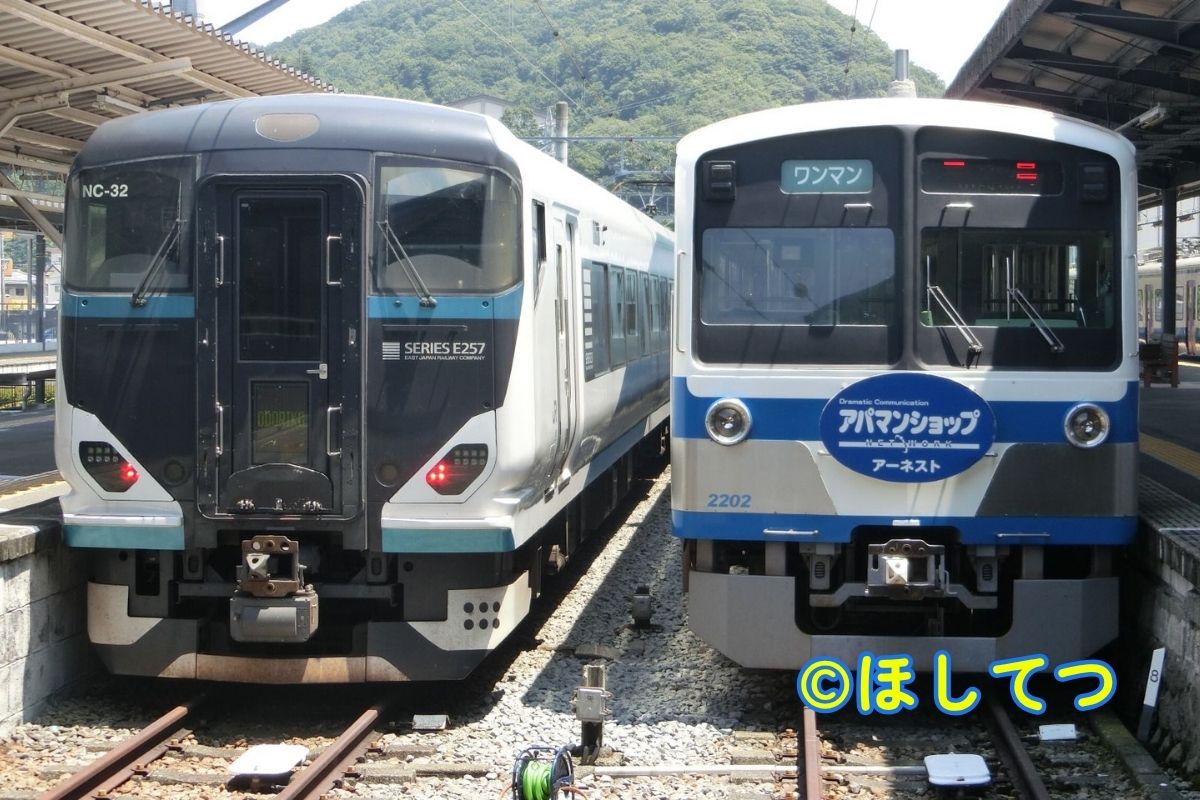 JR East E257 2000 Series Odoriko and Izu Hakone 1300 Series side by side at Shuzenji Station