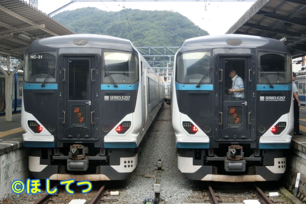 JR East E257 2000 Series Odoriko side by side at Shuzenji Station