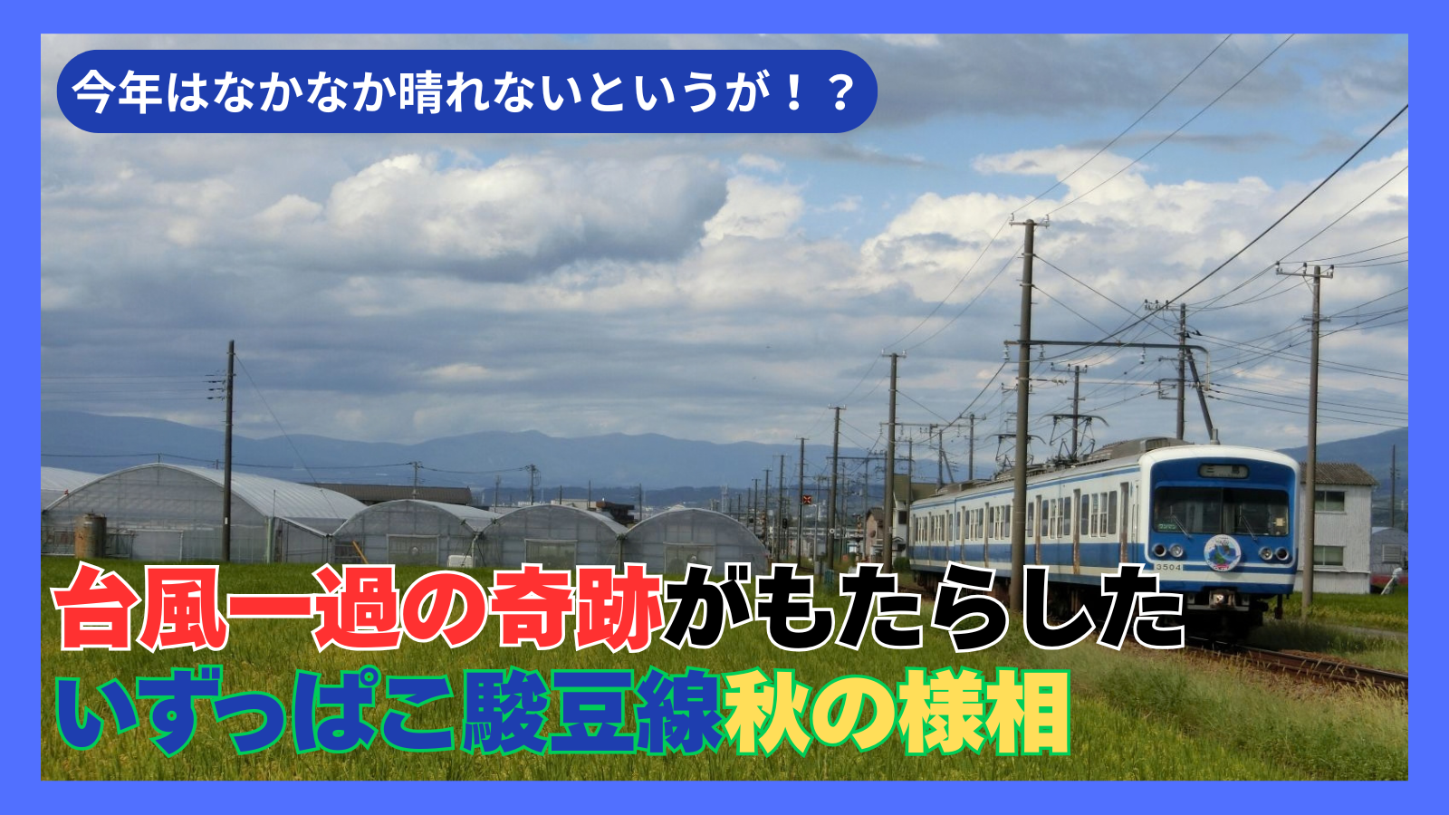 台風一過の奇跡!?秋晴れの下をのんびりとはしるいずっぱこ駿豆線の日常