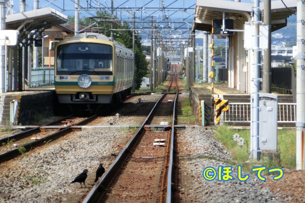 Izu Hakone 7000 Series Yohane Train and a crow at Kibara Station