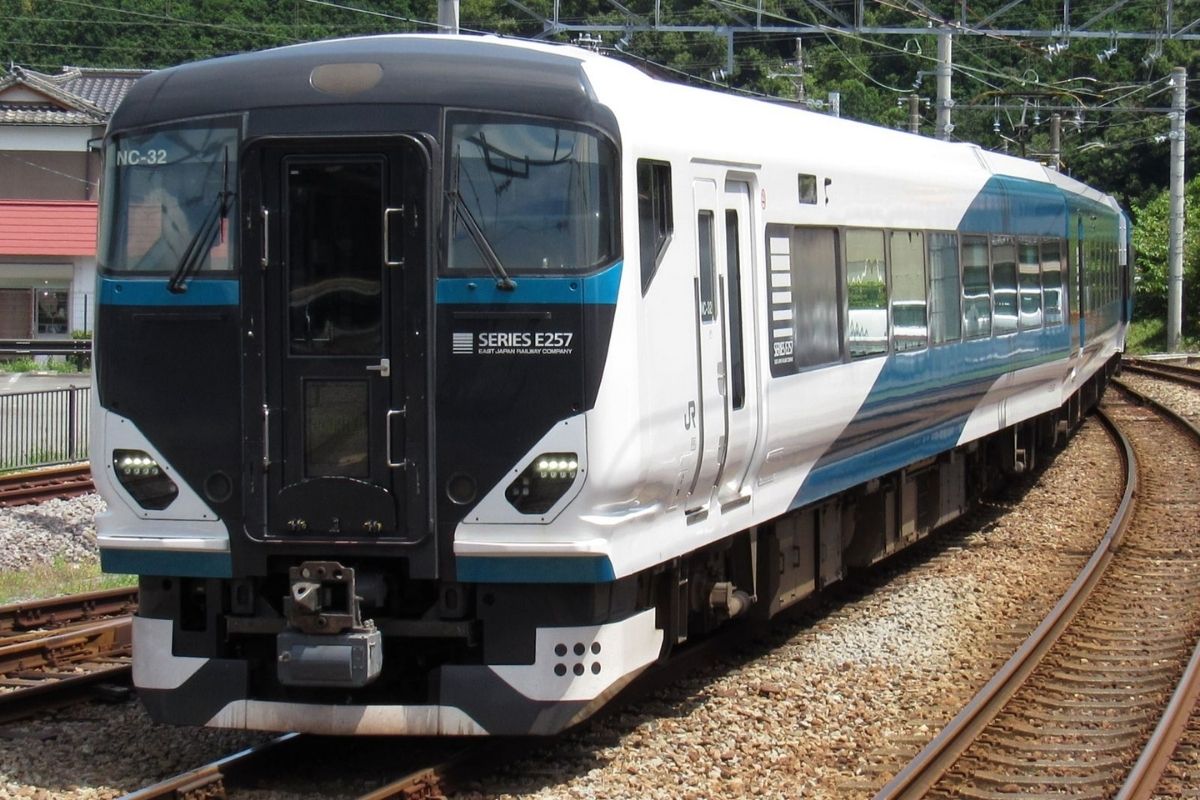 JR東日本E257系2500番台踊り子・伊豆箱根鉄道駿豆線修善寺駅の写真
