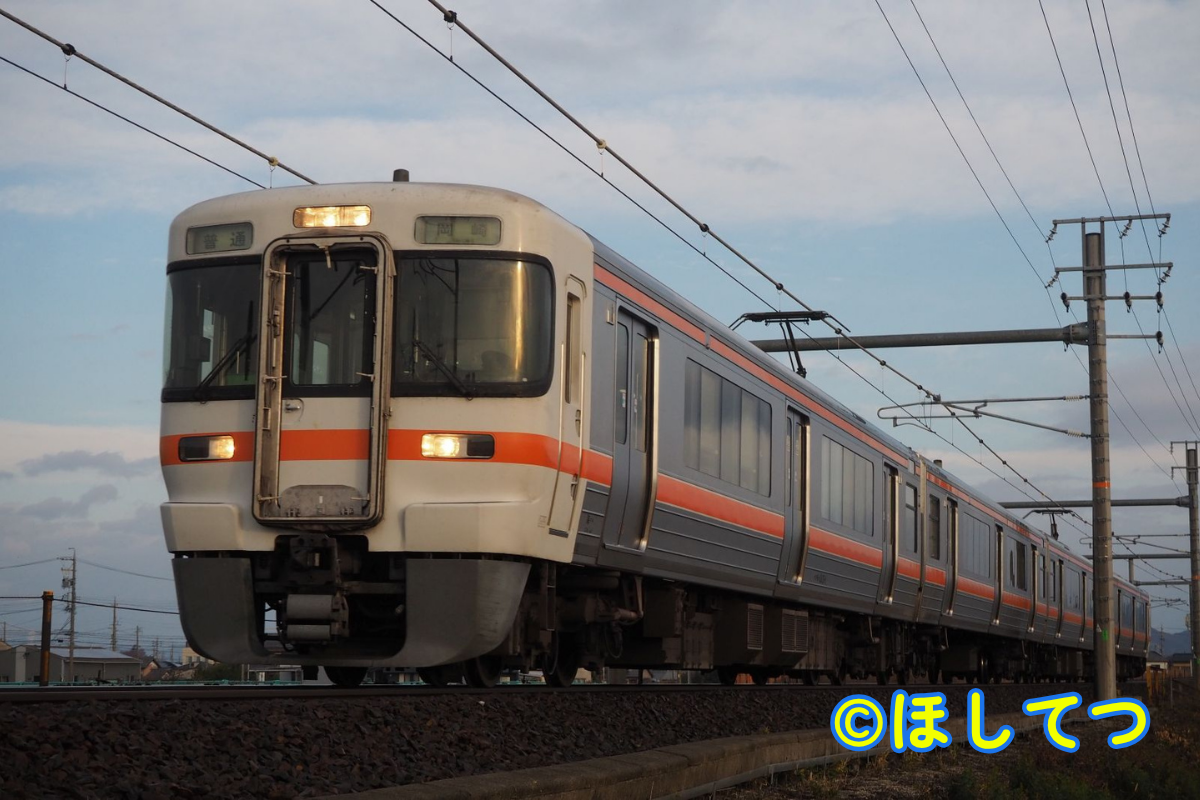 313系0番台・東海道本線岐阜駅~木曽川駅間の写真