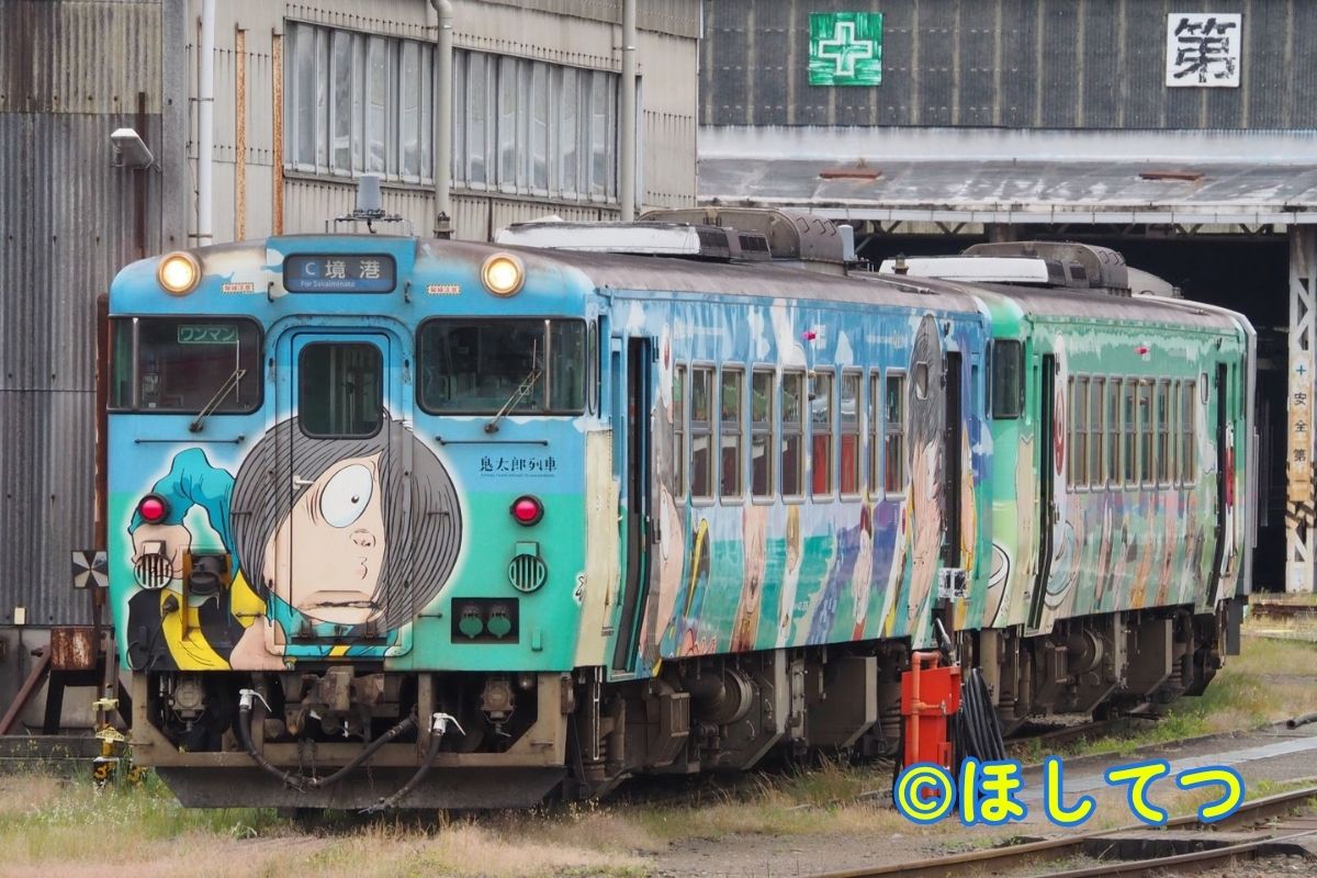 特急くろしおで活躍するJR西日本289系の鉄道写真