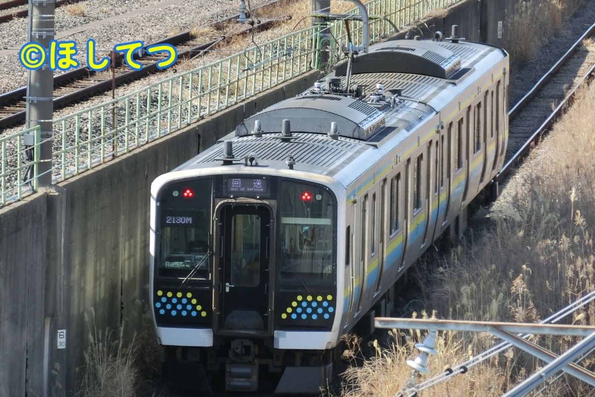 JR東日本E131系0番台の鉄道写真